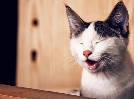 Les blagues les plus hallucinantes à faire à vos collègues