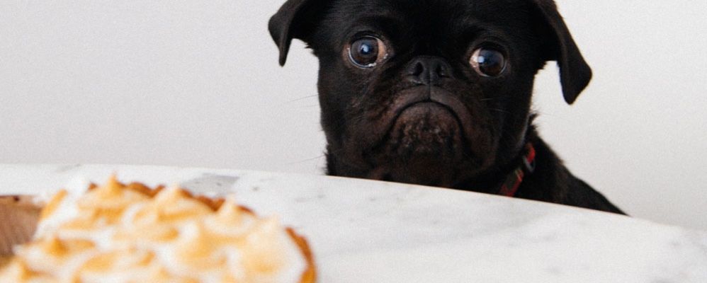 Le régime miracle pour éviter l'infobésité