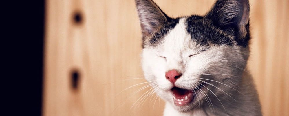 Les blagues les plus hallucinantes à faire à vos collègues