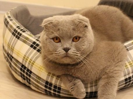 La loi d’Illich : Au-delà d’un certain seuil de travail, l’efficacité décroît