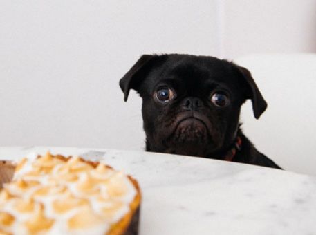 Le régime miracle pour éviter l'infobésité