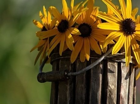 Le top 10 des articles déco à avoir dans son bureau