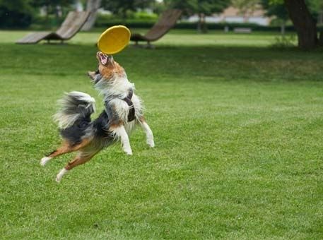 Les sports originaux à faire pendant les pauses déjeuners