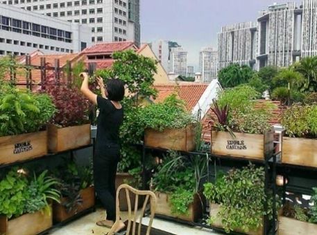 Silence, ça pousse (au bureau)