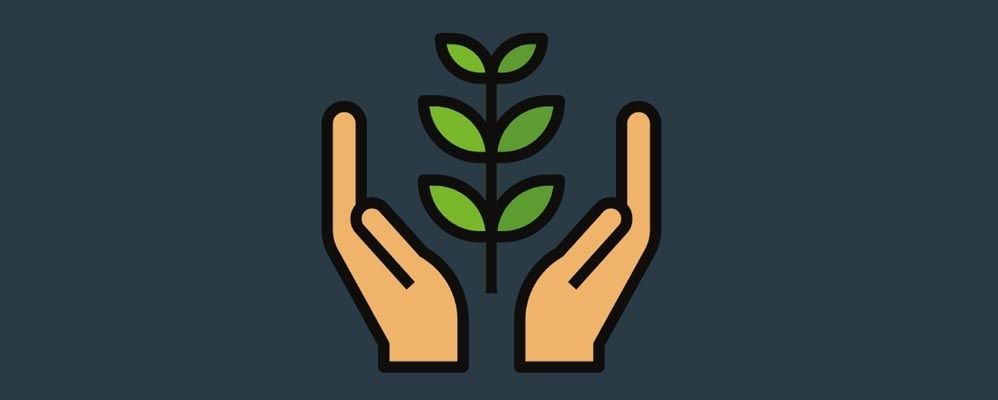 14 idées pour rendre votre entreprise plus écoresponsable