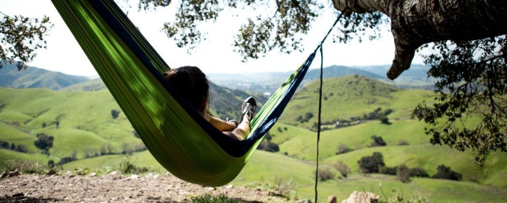 Darwin ne travaillait que 4h par jour… Qu’est-ce que vous faites encore au bureau ?