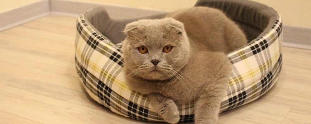 La loi d’Illich : Au-delà d’un certain seuil de travail, l’efficacité décroît